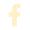 fb-light-icon
